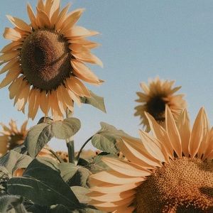 Meet your Posher, Alejandra